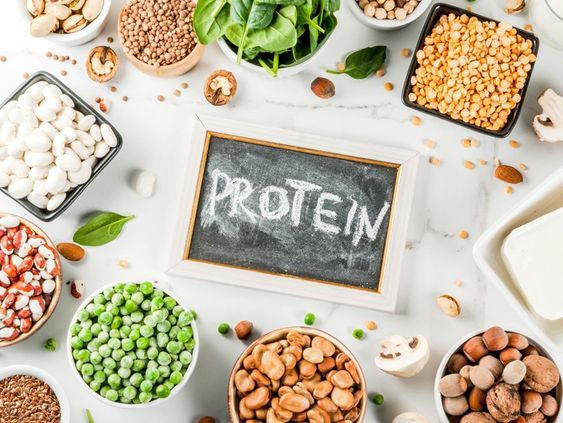 The Best Plant-Based Proteins for Your Diet